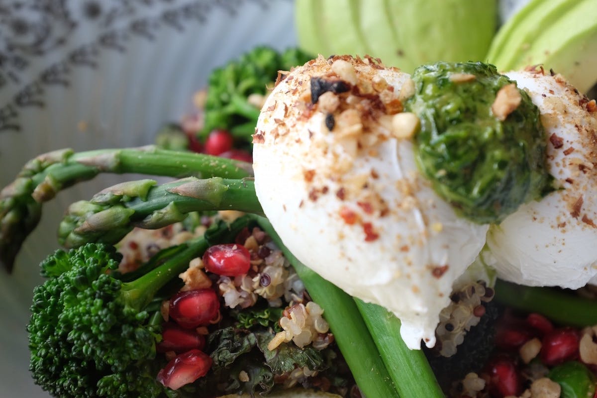 North Sydney NSW Accommodation Brisbane