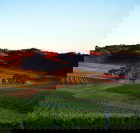 Dalwhinnie Wines - Accommodation Brisbane