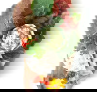 Elixiba - Accommodation Brisbane