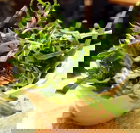 I Maccheroni - Accommodation Brisbane