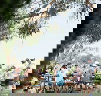St Leonards Vineyard Caf - Accommodation Brisbane