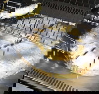 Sugar  Spice Boulangerie Patisserie