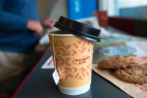 Wild Bean Cafe - Croydon - Accommodation Brisbane 0