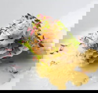 Artichoke Restaurant - Accommodation Brisbane