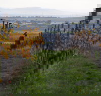 Barwon Ridge Wines - Accommodation Brisbane