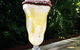 Berowra Village Tavern - thumb 0