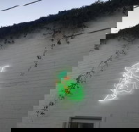 Jessie's Girl - Accommodation Brisbane