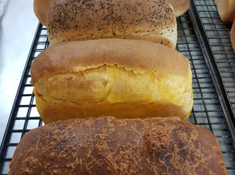 Plantation Organic Bakery - Accommodation Brisbane 0