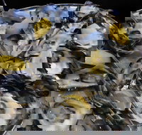 View 42o - Accommodation Brisbane