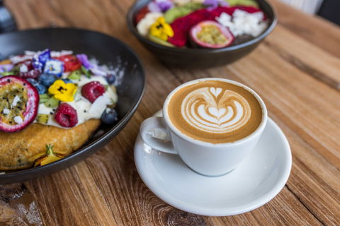 Hungry Monkey - Accommodation Brisbane 2