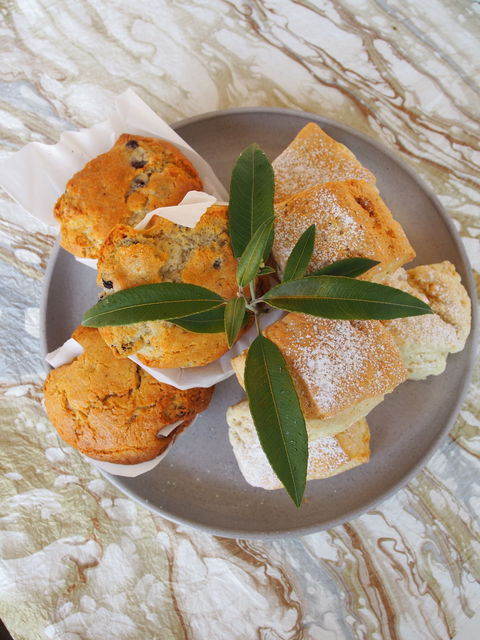 Paperbark Cafe At Kuranga Native Nursery - Accommodation Brisbane 1