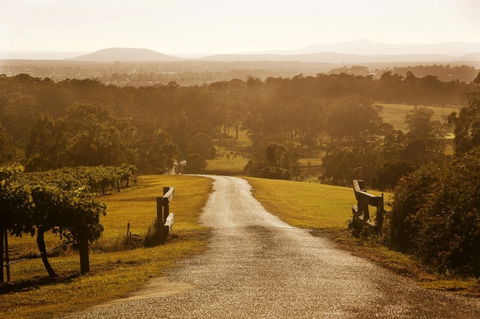 Petersons Wines - Accommodation Brisbane 0