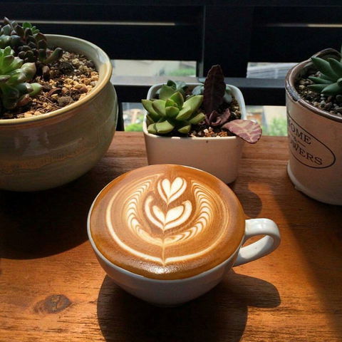 V Espresso - Accommodation Brisbane 0
