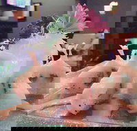 Fusion Wok - Accommodation Brisbane