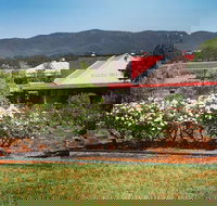 Hanging Tree Wines - Accommodation Brisbane