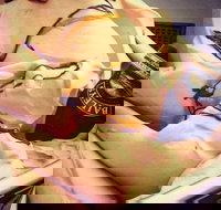 Scoops Gelatiland - Accommodation Brisbane