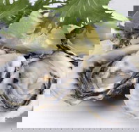 Coco's Riverside Bar  Restaurant - Accommodation Brisbane