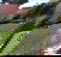 Leaning Church Vineyard - Accommodation Brisbane