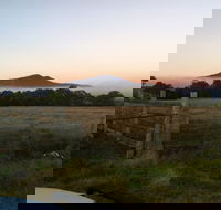 Mountainside Wines - Accommodation Brisbane