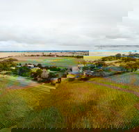 Pettavel Wines - Accommodation Brisbane