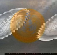 Aussie Bites Cafe - Accommodation Brisbane