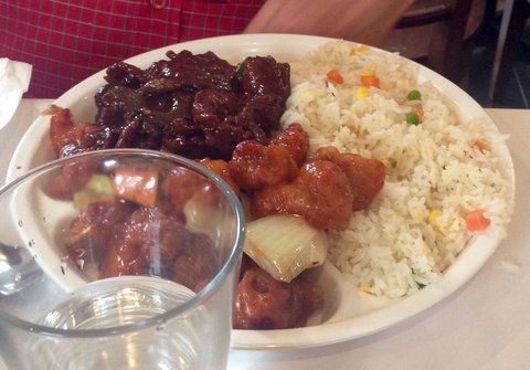 Bodhi Tree - Accommodation Brisbane 0