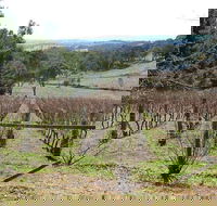 Habitat Vineyard - Accommodation Brisbane
