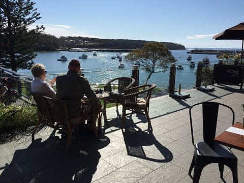 Native. - Accommodation Brisbane 0