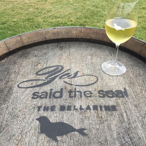 Yes Said The Seal - Accommodation Brisbane 1