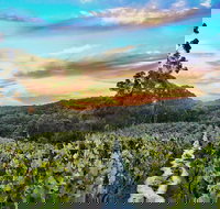 Between the Vines Cellar Door - Accommodation Brisbane