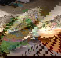 Cafe in the Mountains - Accommodation Brisbane