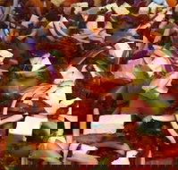 Flamin' Chix - Accommodation Brisbane