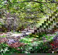 Naked Apple Cider - Accommodation Brisbane