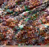 Pizza Kings - Accommodation Brisbane