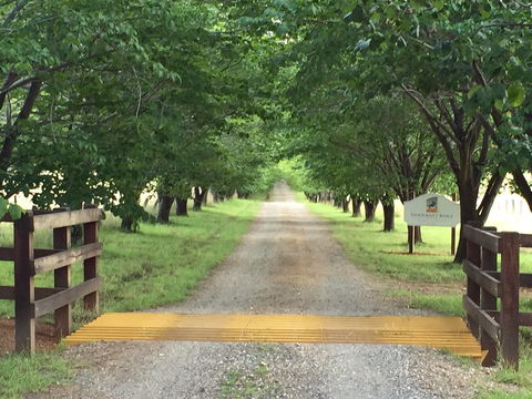 Stockmans Ridge Wines - Accommodation Brisbane 1