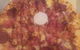Cavelli's - thumb 0