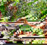 Jaques Coffee Plantation - Accommodation Brisbane