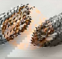 Oven Door Bakery Cafe Drover - Accommodation Brisbane