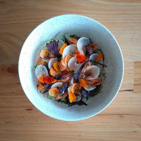 Pachinko - Accommodation Brisbane 0