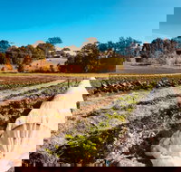 Synchronicity Farm - Accommodation Brisbane