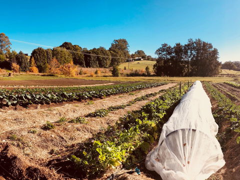 Synchronicity Farm - Accommodation Brisbane 0