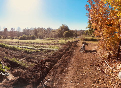 Synchronicity Farm - Accommodation Brisbane 1