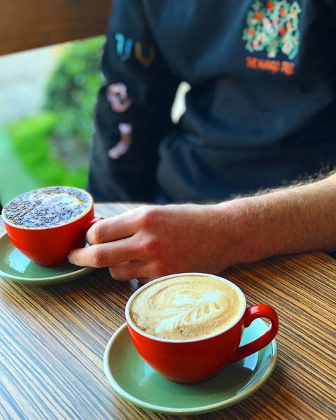 The Mango Tree - Accommodation Brisbane 0