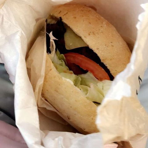 The Fifth Province - Accommodation Brisbane 0