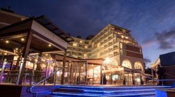 Anchovy - Accommodation Brisbane 9