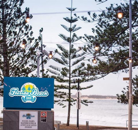 Anchovy - Accommodation Brisbane 2