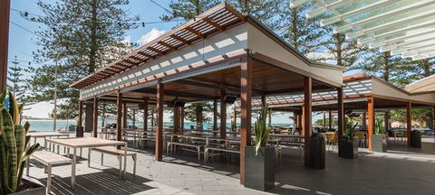 Anchovy - Accommodation Brisbane 8