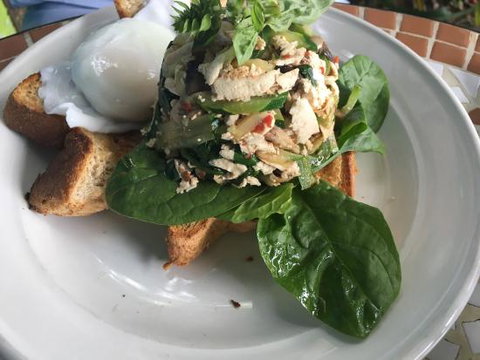 Birdwing Cafe And Curios - Accommodation Brisbane 0