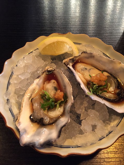 Edosei - Accommodation Brisbane 2