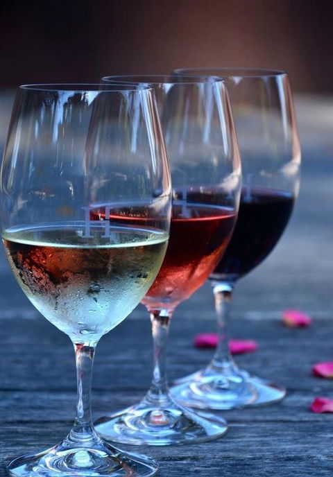 Vines Restaurant At Hollydene Estate - Accommodation Brisbane 8
